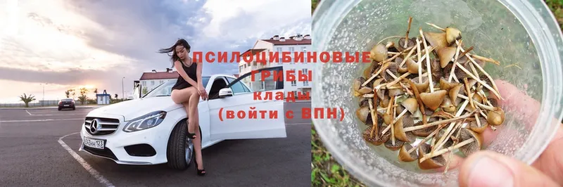 Псилоцибиновые грибы Psilocybe  наркота  Верхотурье 